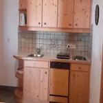 Geraeumige Unterkunft In Schladming Mit Sauna *