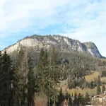 Geraeumige Unterkunft In Schladming Mit Sauna *