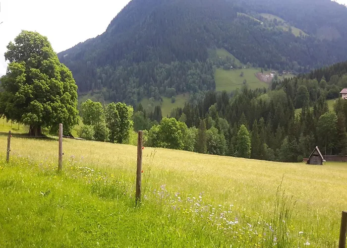 Daire Geraeumige In Mit Sauna *