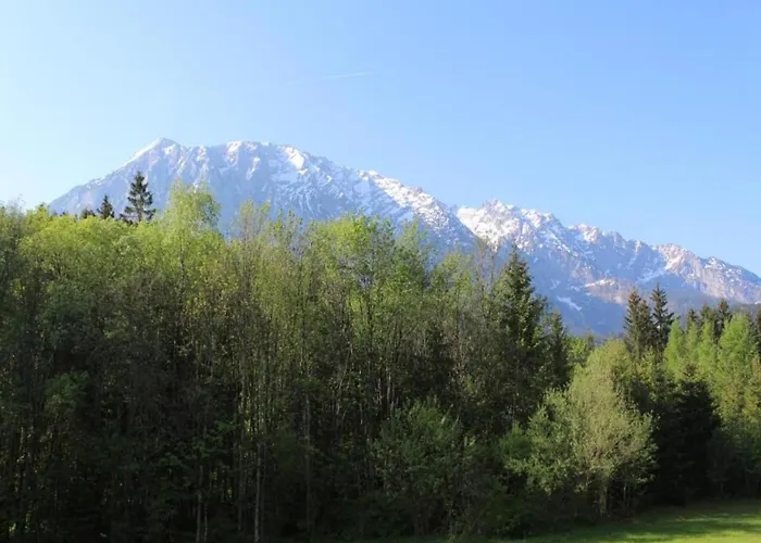 Geraeumige In Mit Sauna Διαμέρισμα