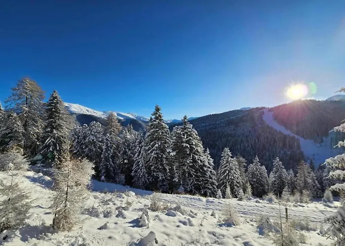 Daire Geraeumige In Mit Sauna